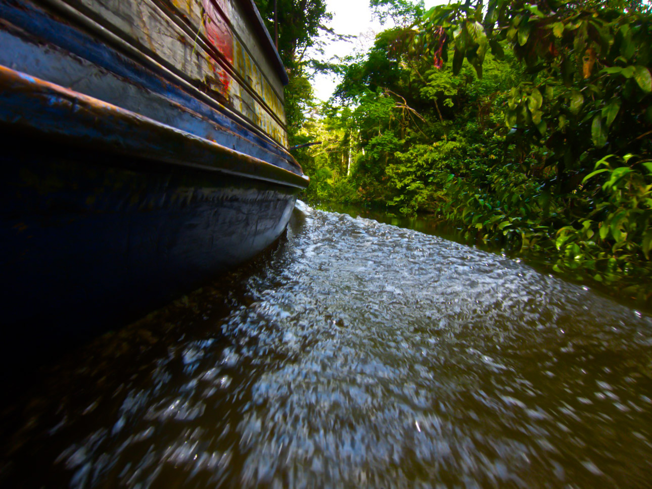 Destination Amazon Basin with Amazon Jungle Trips - Eco Escape Travel